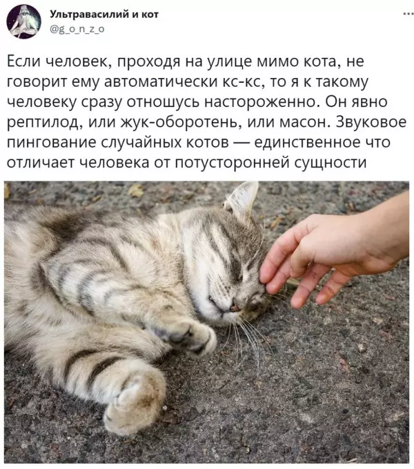 Картинки и мемы для настроения - 27