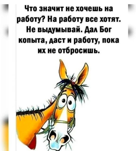 Так себе картинки 02.11.22