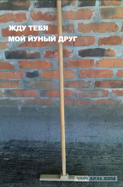 Школота залила своего учителя перцем