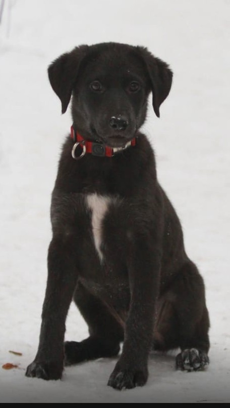 Не рой другому яму. Итоги