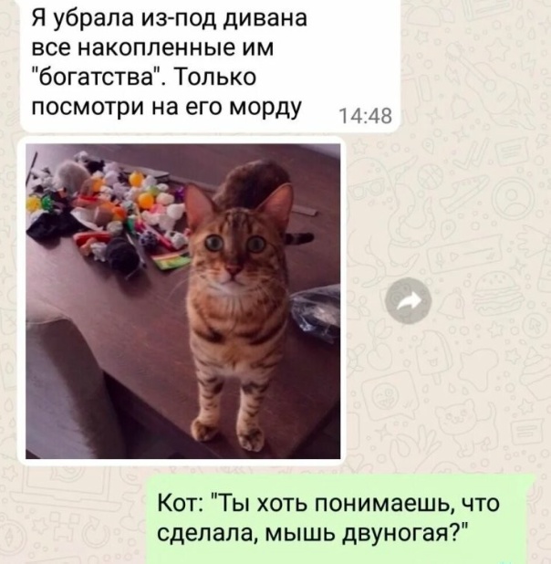 Нуштош 13.05.2023