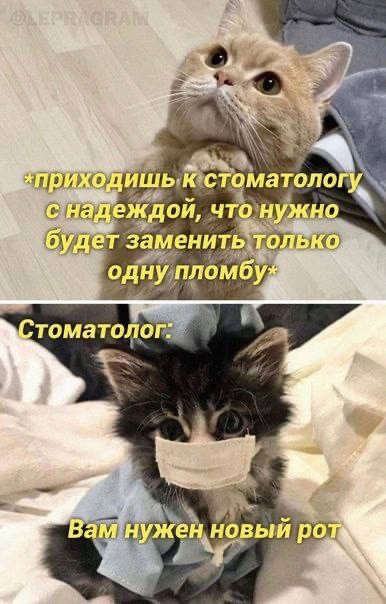 Отряд быстрого деградирования
