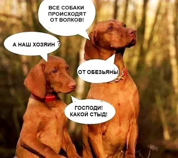 Так себе картинки 24.06.24
