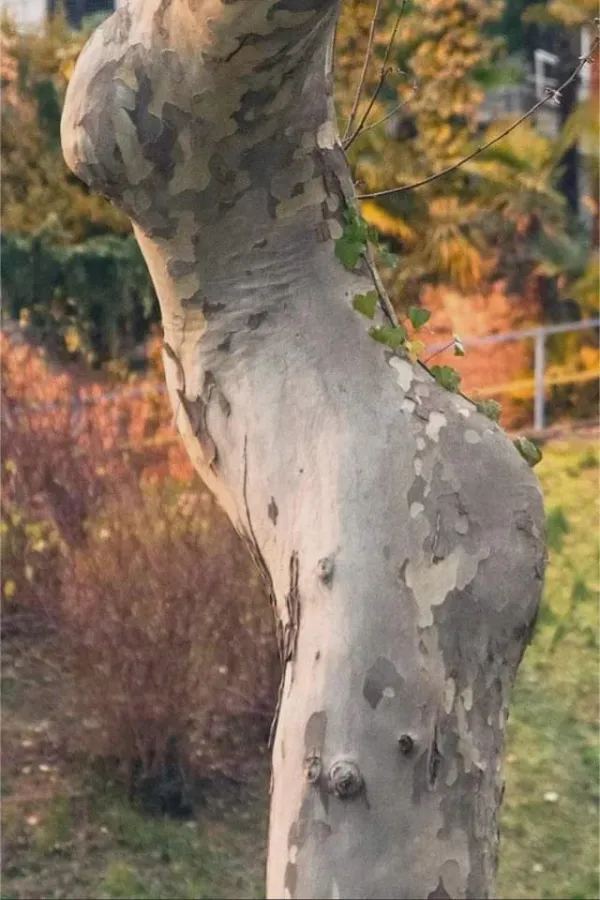 ФотоВинегрет