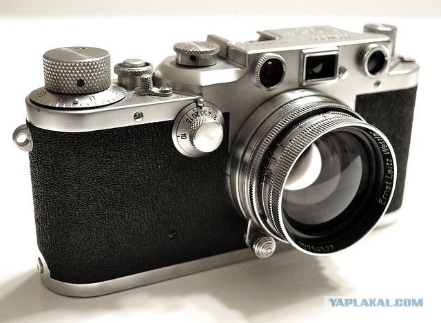 Хипстер на даче!