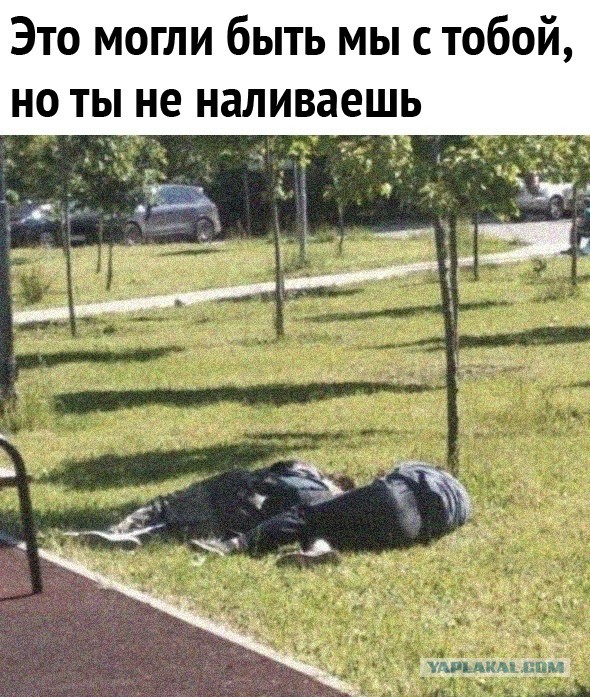 Прямая линия и большая пресс-конференция президента России Путина: онлайн-трансляция