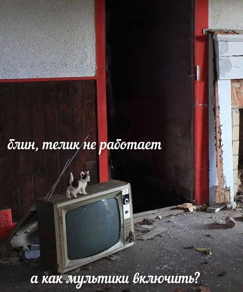 Всего понемногу. От 14.02.2025