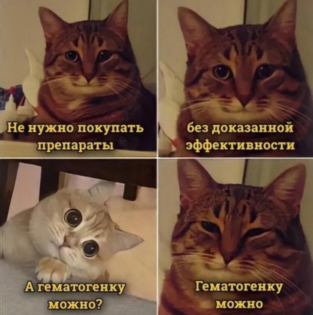 К котовторнику: подборка картинок-баянов с котиками и про котиков. Выпуск 9