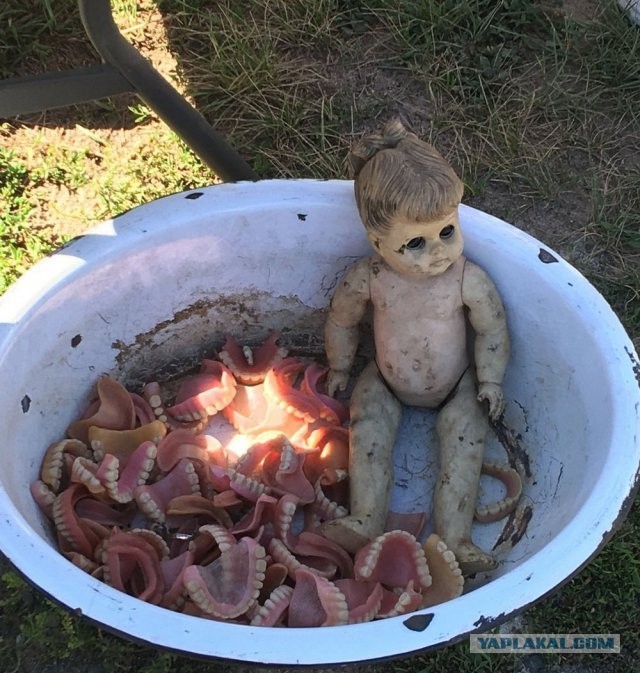 Неудачное ограбление в Эквадоре