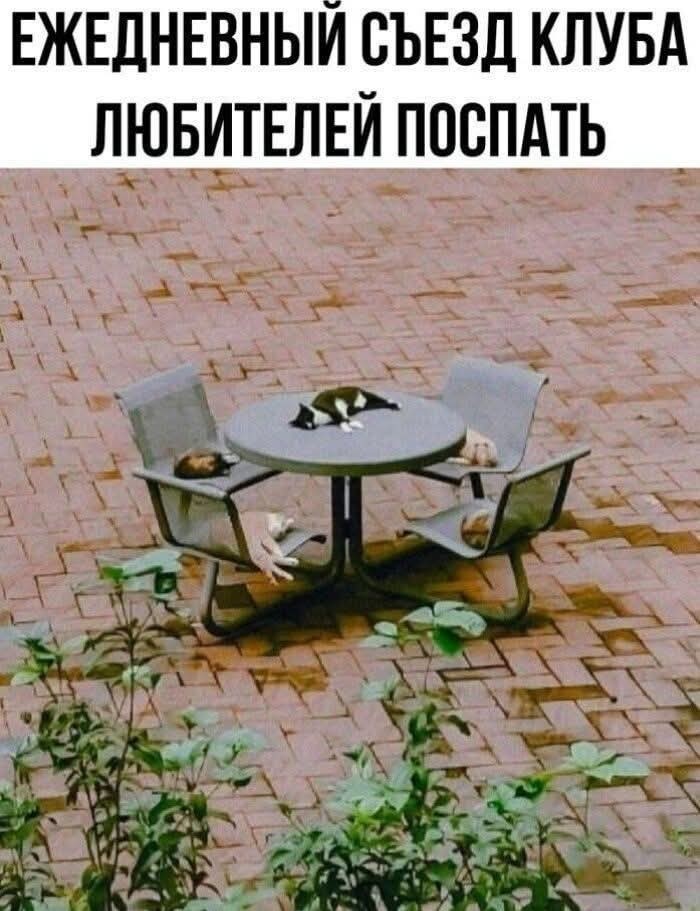 20133277.jpg