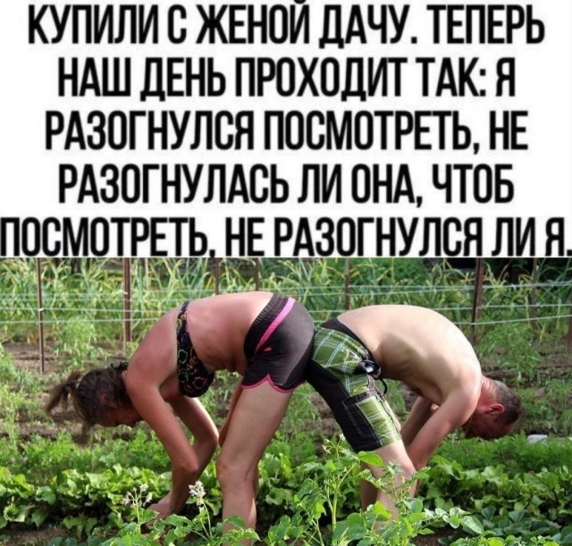 У всех бед одно начало