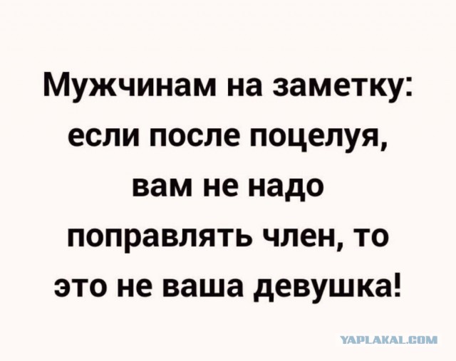Картинки из ТГ чатов 2