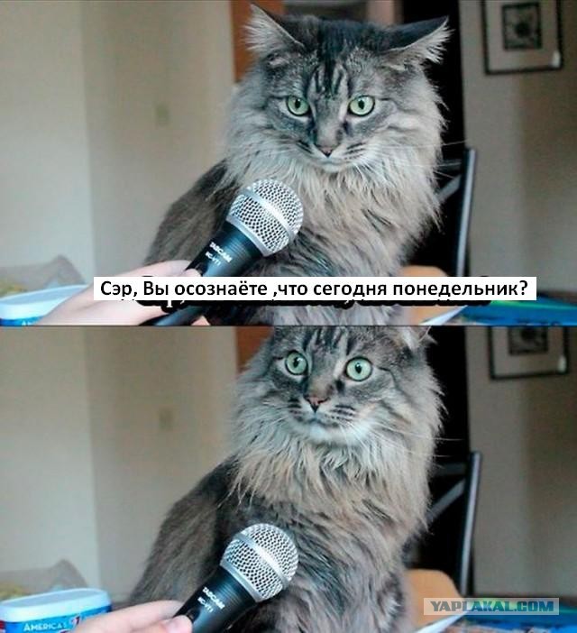 Вот это поворот!