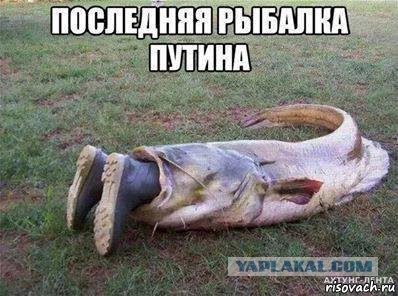 Весёлые картинки. Разбавим будни