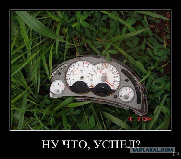 Демотиваторы.
