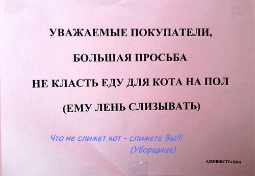 Эти коты уже совсем обленились!