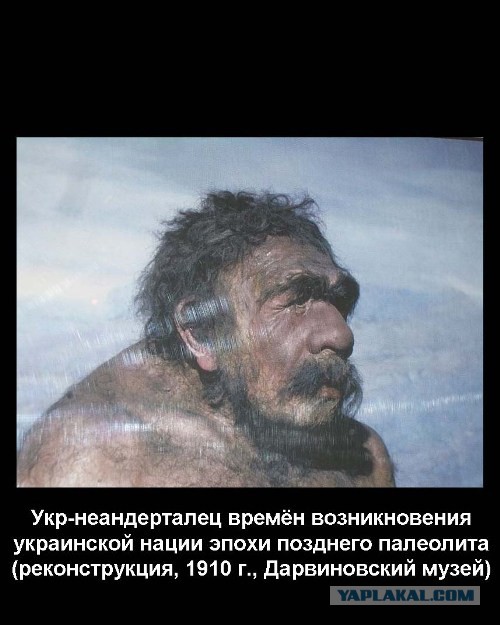 Украинские приколы.