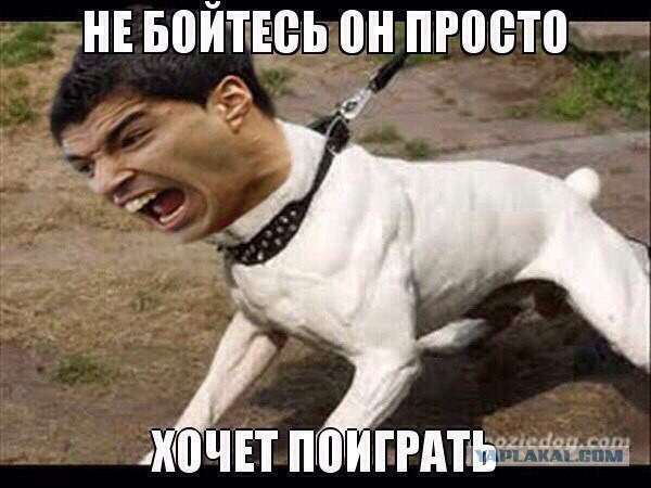 Чемпионат Мира 2014 Бразилия