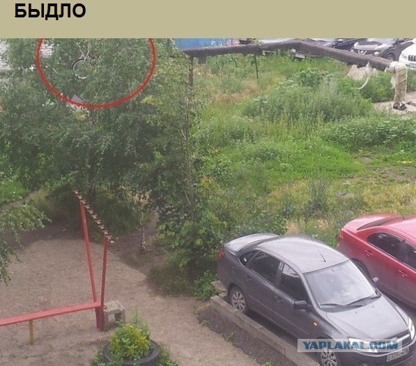 Велосипедистам на заметку