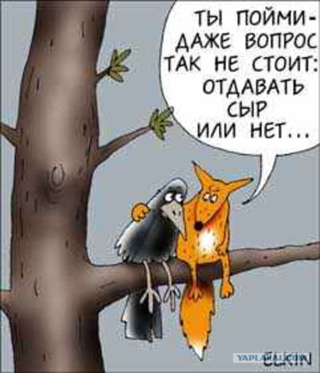 Войска ДНР вошли в Запорожскую область