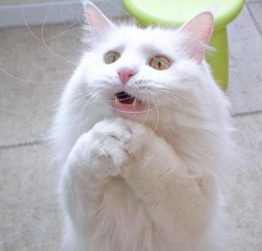 Плюсомет со шпалометом