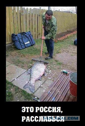 Пятничный позитифффчик