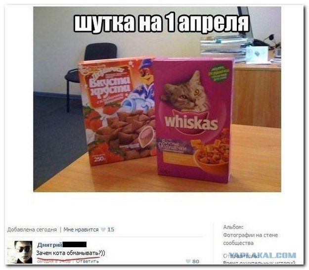 Смешные комментарии из соцсетей, картинки