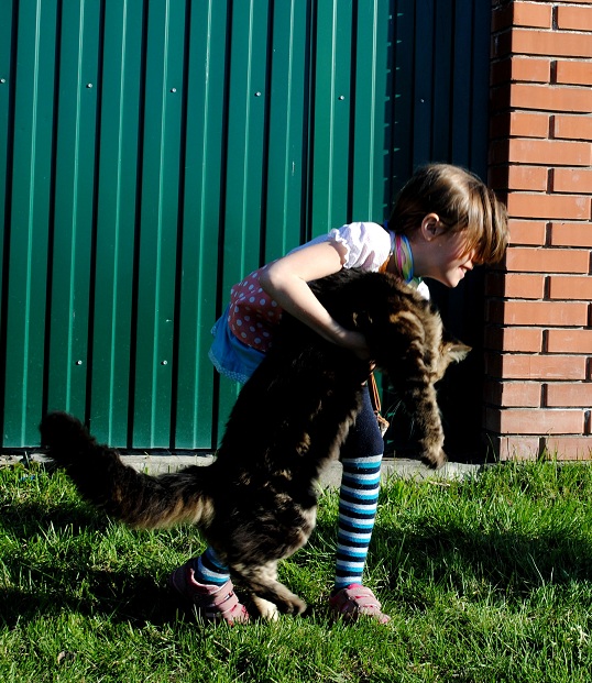 Котовторник 5.05.2015.