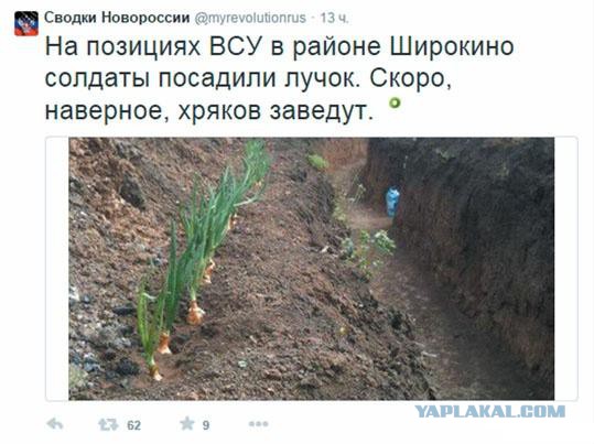 Перемирие кончилось, едва начавшись. Часть 8