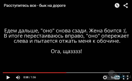 Не пропустил быка на дороге.