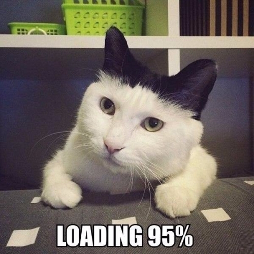 Котовторник