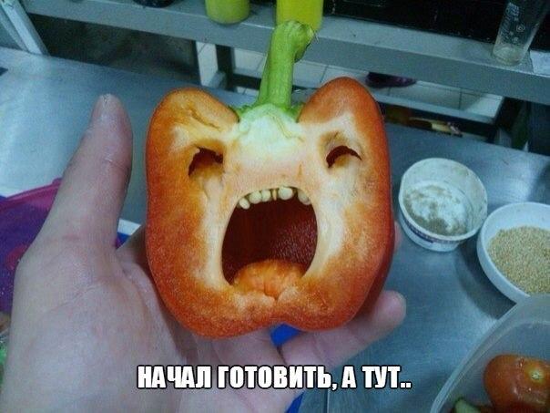 Подборка прикольных фото на пятницу
