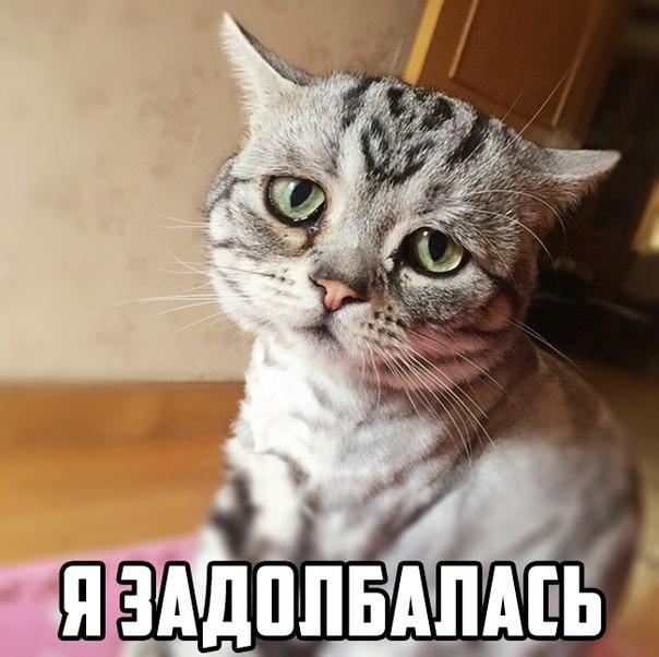 А давайте улыбнёмся В Новом Году