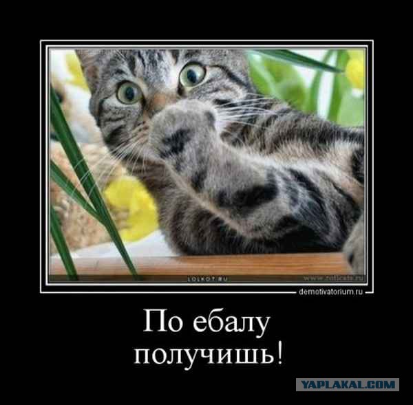 Злые шутки или минутка сарказма на ЯП-е, 16+