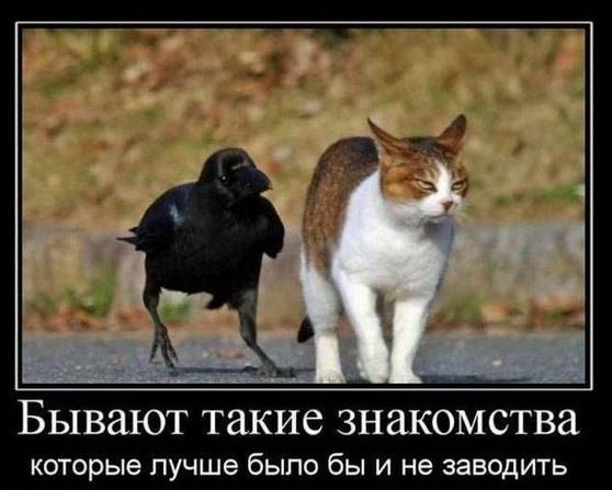 Подборка картинок