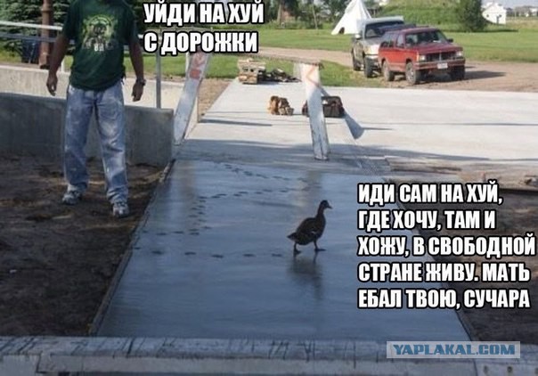 Картинки с надписями