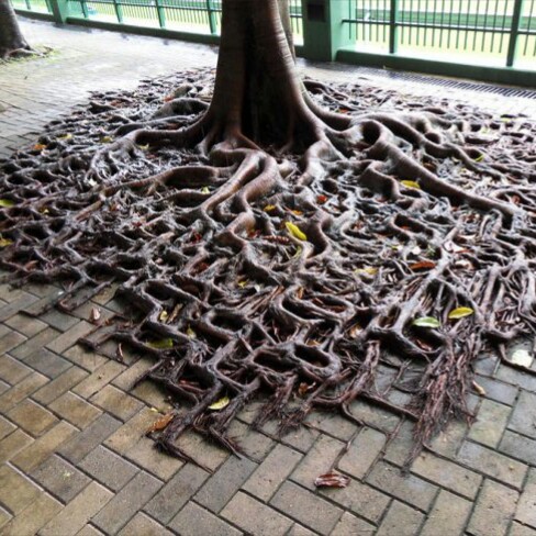 Интересные и веселые картинки