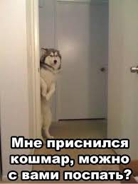 Мистика или я ебан*лся?
