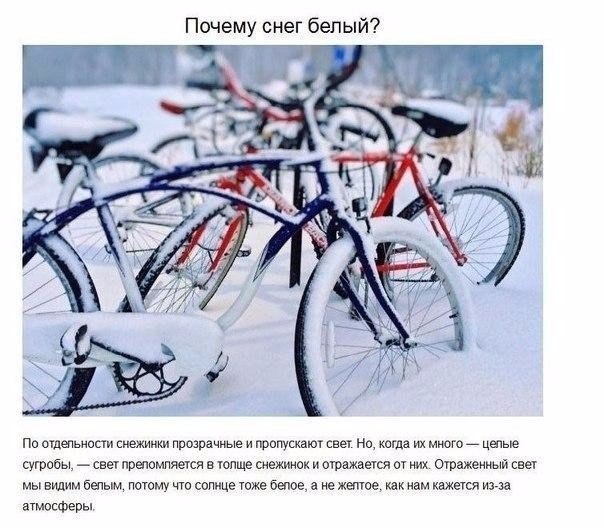 Подборка фото