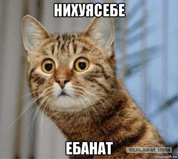 Урода заказывали?