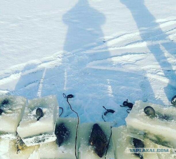 Особенности зимней рыбалки в Якутии