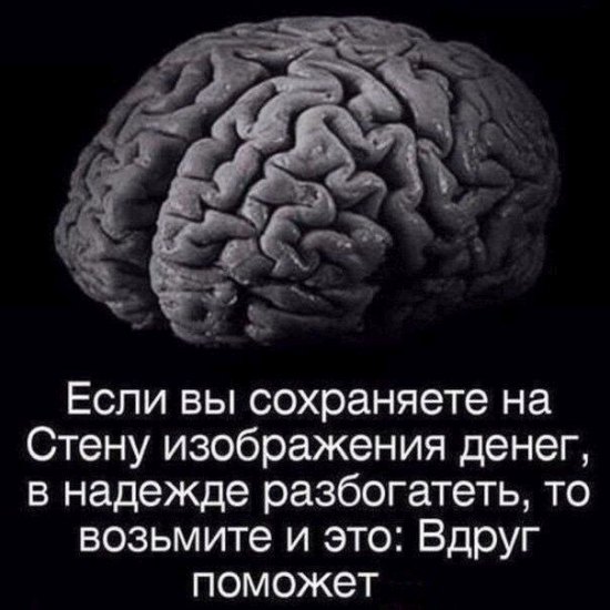 Прикольные картинки обо всем