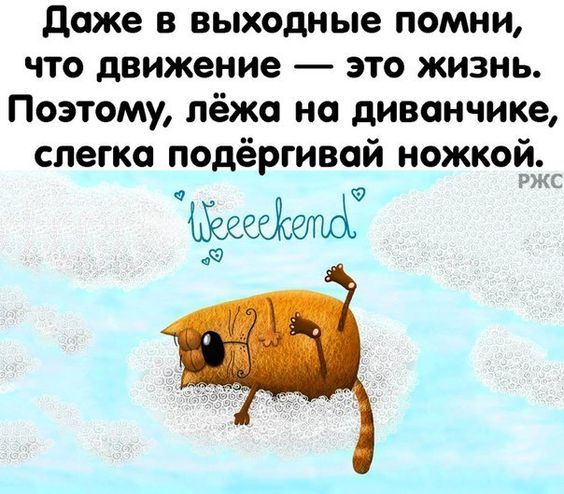 7 странных привычек у кошек, которым есть объяснение