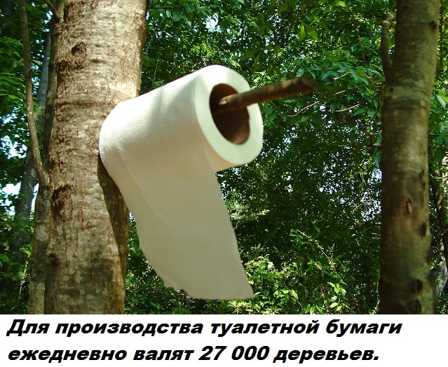 Подборка бесполезных фактов