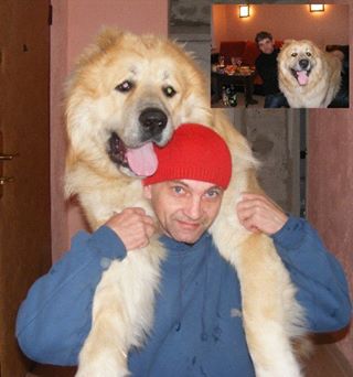 Когда размер имеет значение