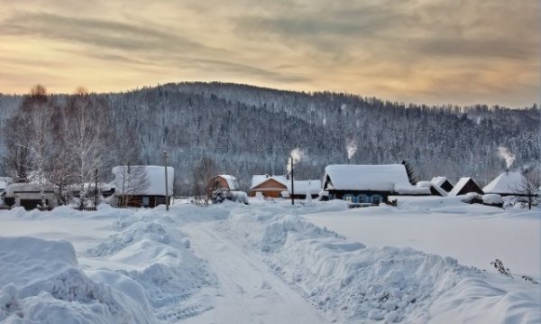 Подборка интересных и веселых картинок 25.01.19