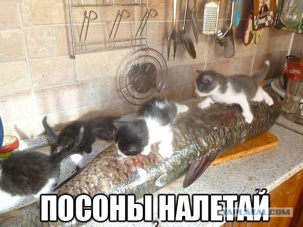 World of Warships - 6