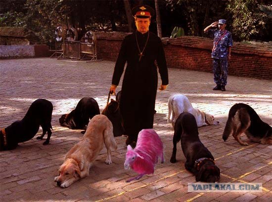 А чтобы никто не подкопался