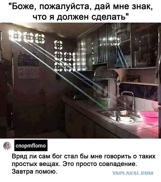 Бредзона 21.08.2020