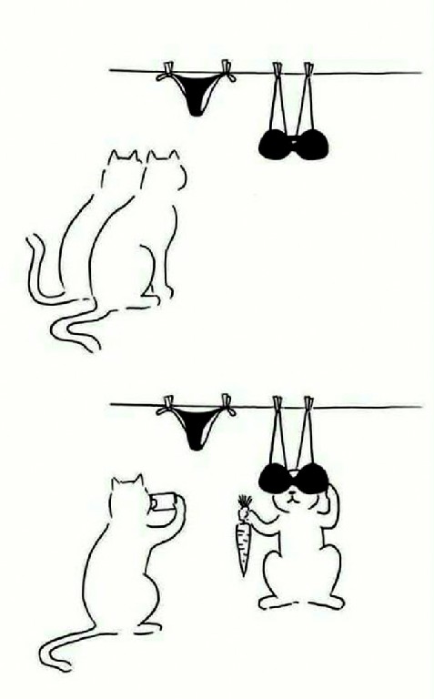 С котопятницей! Улыбнемся?